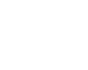 Aseko